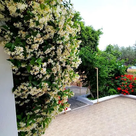 Stella Family House Pefki